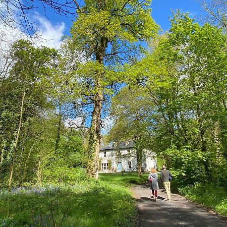 Blackhill Woods Retreat Abbeyleix Extérieur photo