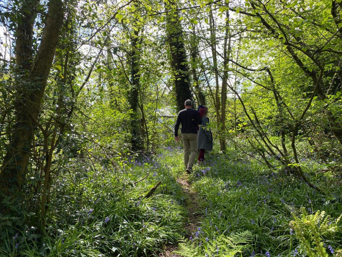 Blackhill Woods Retreat Abbeyleix Extérieur photo
