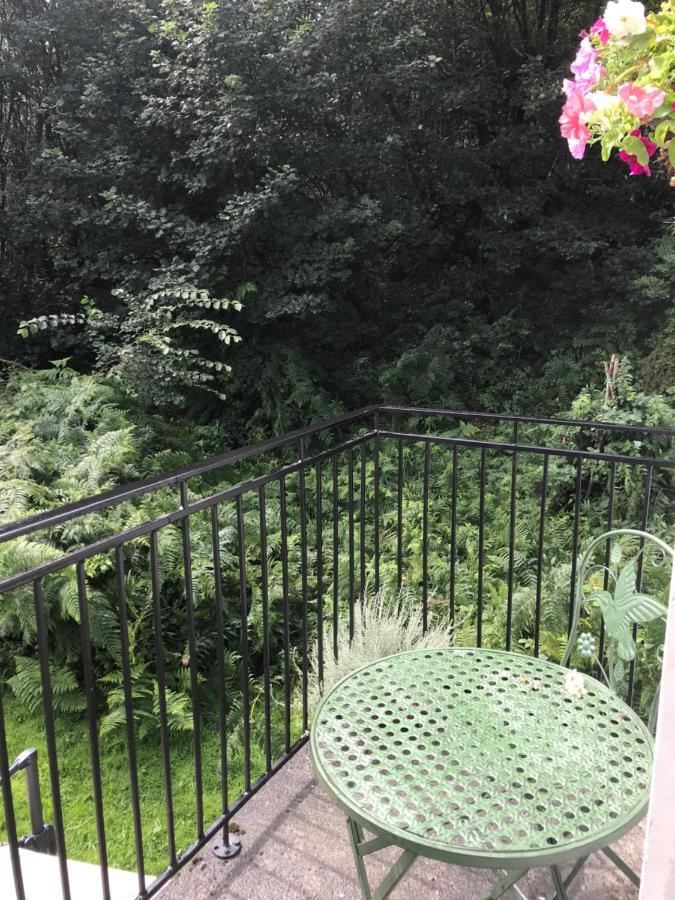 Blackhill Woods Retreat Abbeyleix Extérieur photo