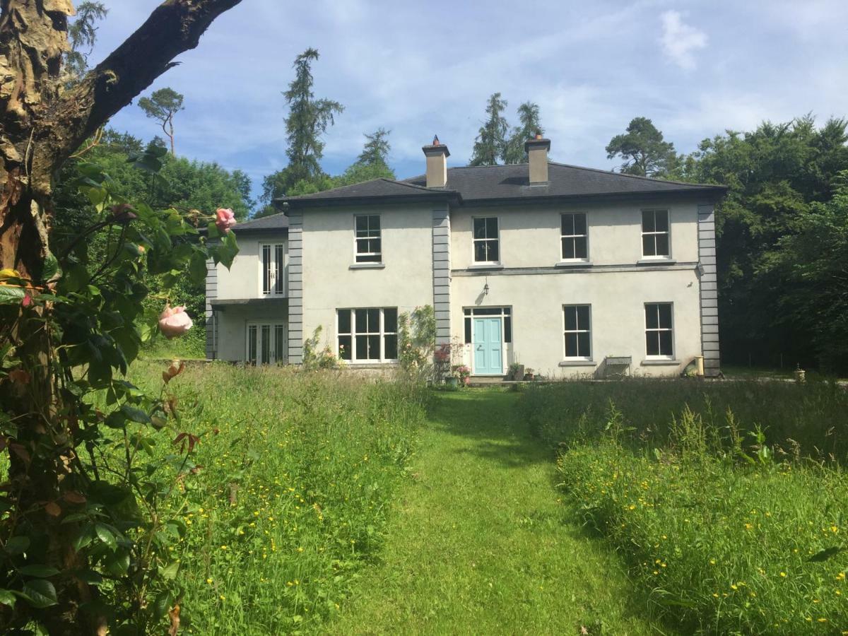 Blackhill Woods Retreat Abbeyleix Extérieur photo