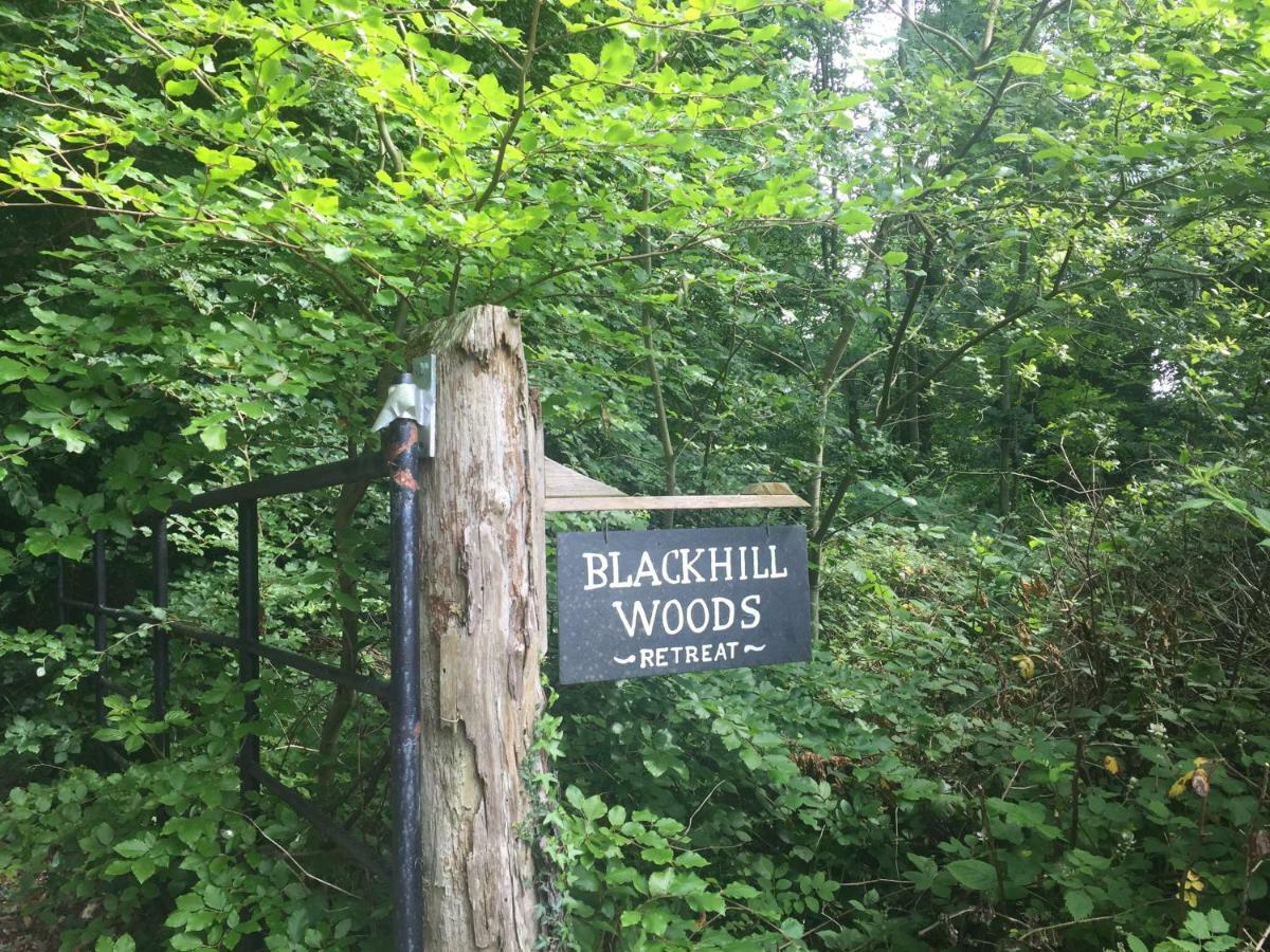 Blackhill Woods Retreat Abbeyleix Extérieur photo